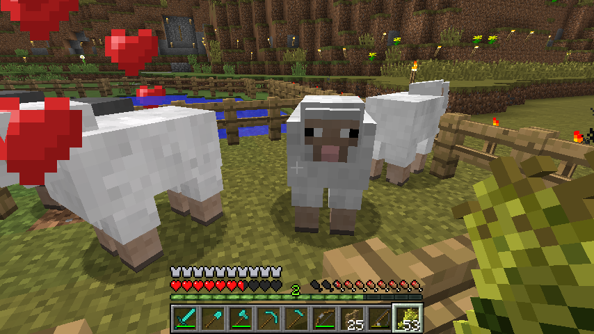 Minecraft owca a nawet kilka